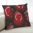 thumbnail image 1 of Ahgly Company Coussin d'Intérieur Rouge Color Focus, 18 Pouces par 18 Pouces, 1 of 6