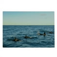 thumbnail image 2 of Whale Cutting Board, Real Photo Image of 4 Killer Whales Coming out of the SeArt Print, Decorative Tempered Glass Cutting and Serving Board, Large Size, Blue and Black, by Ambesonne, 2 of 5