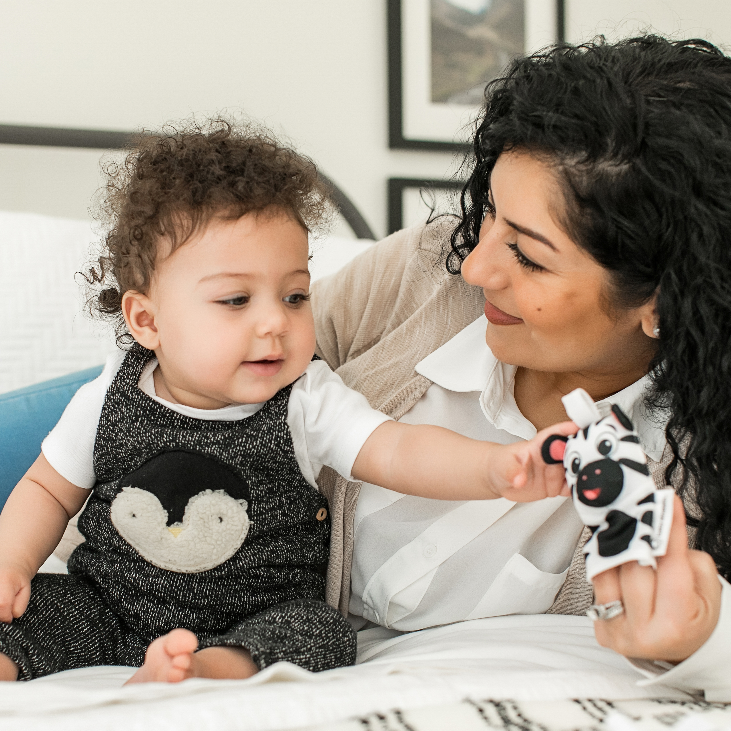 baby einstein contrast critters