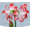 f, variant on Amaryllis bulbs   Home Garden Decoration Bright for Planting Perennials Bulbs for Planting Pots to Grow