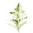 thumbnail image 2 of Loreth, Lanie 23x32 White Modern Wood Framed Museum Art Print Titled - Single Branch I, 2 of 4