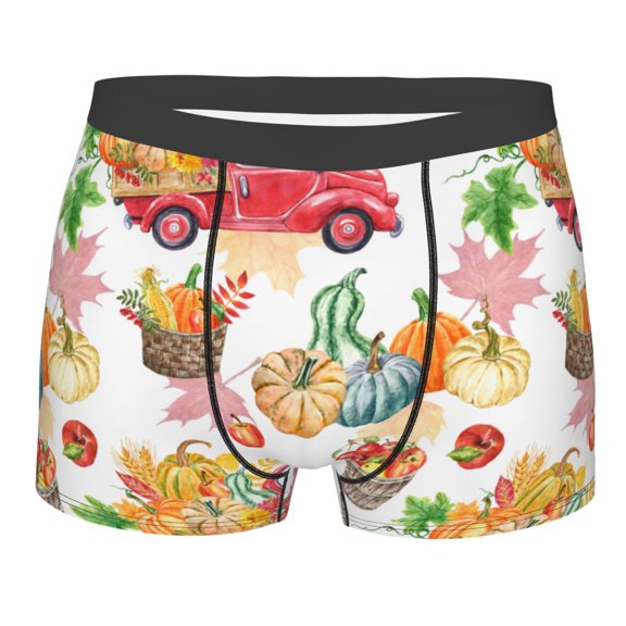 Salouo Autumn Harvest Truck Print Men's Boxer Briefs,Breathable Underwear Elastic Waistband Briefs for Men -Large