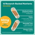 thumbnail image 6 of SmartyPants Prenatal Plus Multivitamin Capsules with Choline, Folate & DHA, 60 Ct, 6 of 9