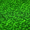 thumbnail image 5 of FANMATS 10332 UNLV Nevada Las Vegas Tapis Vert, 5 of 5