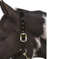 thumbnail image 2 of Hy Deluxe Padded Head Collar, 2 of 4