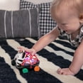 Baby Car Rattle Baby Einstein Curious Car Zen Oball Toy Car & Rattle - Walmart.com