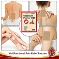 thumbnail image 3 of 16pc Capsicum Plaster Pain Relieving Patch, 3 of 3