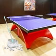 thumbnail image 4 of Recuperador de pelotas de pingpong, recogedor de pelotas telescópicas, red, recogedor de pelotas de tenis de , contenedor, herramienta de Sunnimix Bolígrafo, 4 of 8