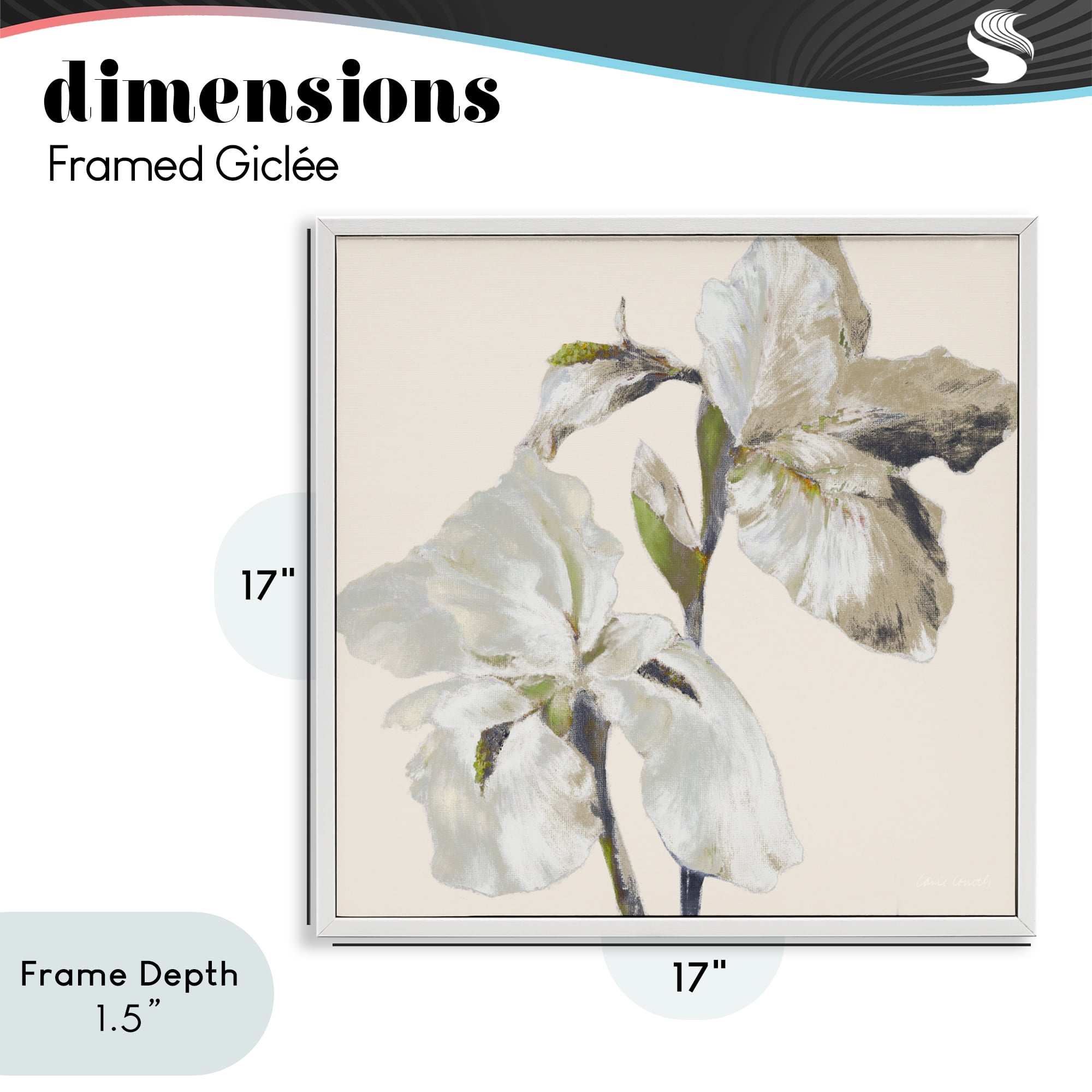 Stupell Industries Irises Soft Beige White Framed Giclee Art, design by Lanie Loreth