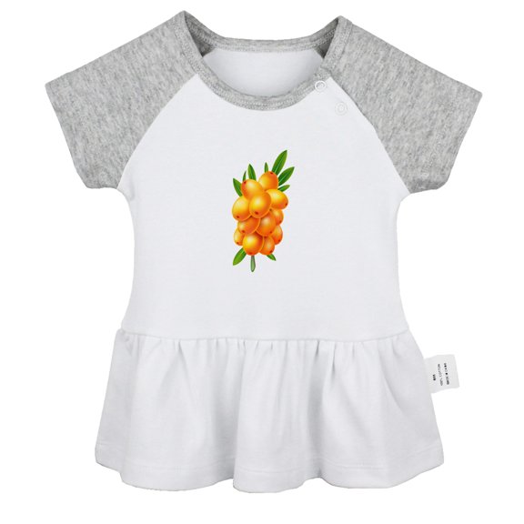Nature Sea Buckthorn Pattern Dresses For Baby, Newborn Babies Skirts, Infant Princess Dress, 0-24M Kids Graphic Clothes (Gray Raglan Dresses, 6-12 Months)