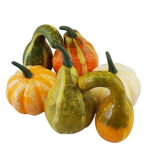 Decorative Pumpkins Halloween Gourds Ornamental Squash and Pumpkin for