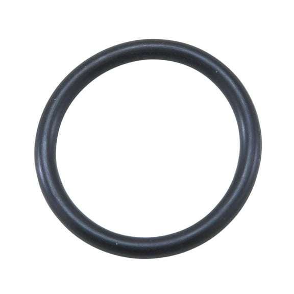 Axle O-Ring for 8" Chrysler IFS.