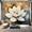 Color5, variant on Peel and Stick Wallpaper Canvas Lotus Flower Blooming Modern Peaceful Still Life Zen Golden Floral Modern Art Wall Mural Decor Self Adhesive and Removable 100in x 144in
