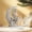 color-Free Size-MXQ260210004, variant on Castle Festival Party Table Decorations Acrylic Flat Ornament Desktop Decor Fairy Tale Castle Centerpiece Party Favors Holiday Birthday Tabletop Decor For Home Living Room Kitchen Shelf Mantel Decor