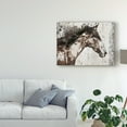 thumbnail image 3 of Trademark Fine Art 'Galaxy Horse I' Canvas Art by Irena Orlov, 3 of 4