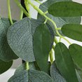 thumbnail image 5 of Twfbrm Artificial Eucalyptus Garland, 6.6 FT Realistic Silk Green Leaves Vine Foliage Garland with White Rose, UV Resistant Vine Hanging Plants Greenery Garland Spring Decor for Wedding Party Garden, 5 of 9