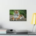 thumbnail image 3 of Majestic Siberian Tiger Art Majestic Siberian Tiger Print Animal Wall Art Wildlife Canvas Prints Wall Art Ready to Hang Unframed, 3 of 18