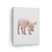 Smile Art Design Portrait of Cute Little Pink Pig Baby Animal Canvas Wall Art Print Pet Owner Pig Lover Mom Dad Gift Office Living Room Bedroom Kids Baby Nursery Room Decor Ready to Hang - 12x8