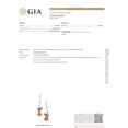 thumbnail image 5 of GIA Certified Baltic Honey Amber Rose Dangle Earrings in 925 Sterling Silver Leverback, 5 of 7