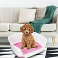 thumbnail image 1 of Removable Dog Potty Tray Keep indoor dog Floors Litter Box for Clean with indoor Rabbit Litter dog Protection Wall Pink, 1 of 9
