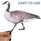 thumbnail image 4 of 2pcs Garden Duck Stakes Garden Decoración de patos Decoración de pato acrílico Decoración de jardín, 4 of 4