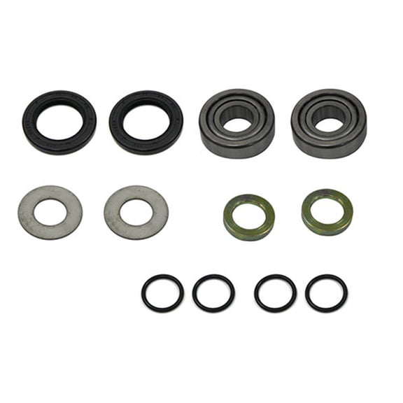 BRONCO SWINGARM BEARING KIT