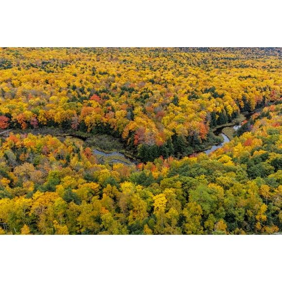 Big Carp River in Porcupine Mountains Wilderness State Park in the Upper Peninsula of Michigan Poster Print by Chuck Haney (18 x 24)