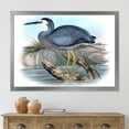 thumbnail image 3 of Designart 'Ancient Australian Birds II' Traditional Framed Art Print, 3 of 4