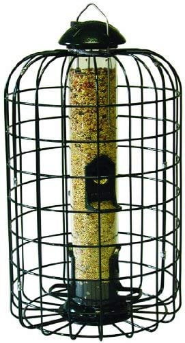 Details about   2 Lbs Squirrel Proof Bird Seed Feeder 6 Feeding Ports Free Shipping Brand New 