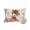 Red Beige, variant on 1 Pack Outdoor Pillows Waterproof, Ocean Red Turtles Indoor/Outdoor Throw Pillows with Inserts, Coastal Coral Seagrass Vintage World Map Decorative Pillow for Patio Furniture Chairs Couch