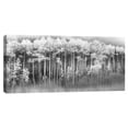 thumbnail image 1 of Cuadros Decorativos - Álamo temblón de ensueño Jr Canvas, 1 of 2