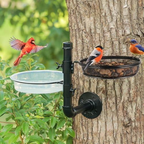 RibRave Wall Mounted Bird Feeder With Detachable Tray and 2 Water Bowls for Balcony, Yard, Fence, and Tree - Black