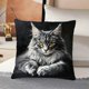 thumbnail image 4 of Funda de almohada con estampado de gato (45 x 45 cm) | Funda de cojín decorativa de poliéster suave con cremallera oculta para sofá, cama y sala de estar., 4 of 7