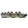 thumbnail image 2 of Avian X Topflight Gadwall Decoys Realistic Gray Duck, Set of 12, Multicolor, 2 of 6