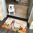 thumbnail image 2 of Happy Thanksgiving Afghan Hound with Turkey Pumpkins Autumn Vibes Doormat Dog Lover Indoor Outdoor Welcome Mat - 12018, 2 of 5