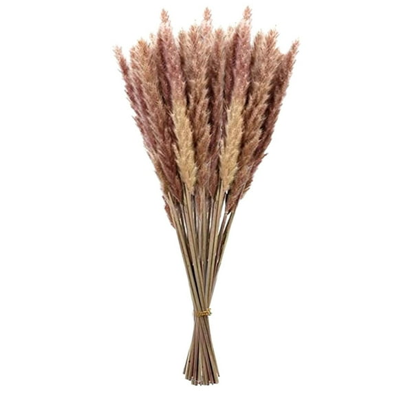 Garden Decor 15Pc Dried Decoration Dried Flowers Vases Bouquet Boho Decoration Branches