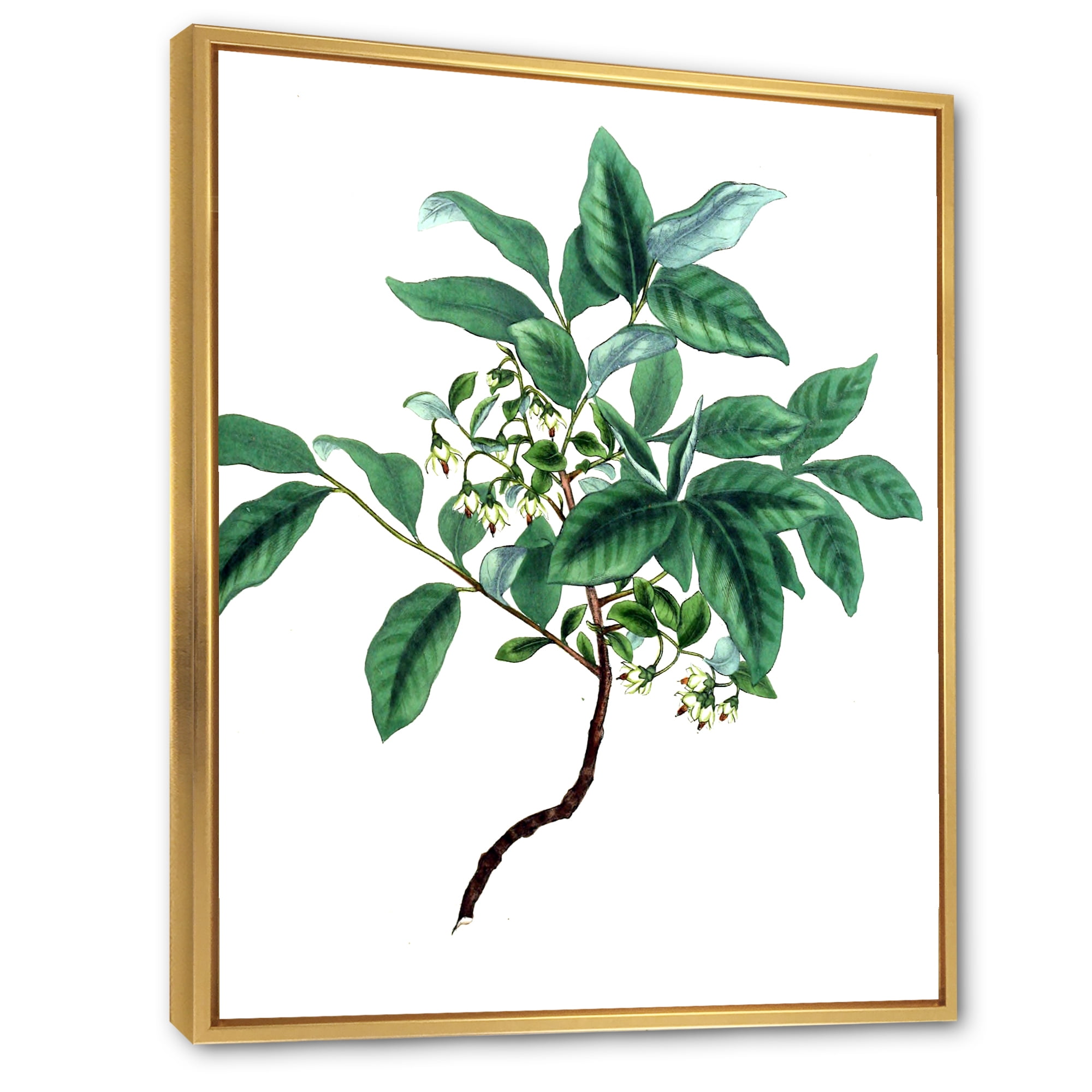 Designart 'Ancient Green Leaves Plants IV' Traditional Framed Canvas Wall Art Print