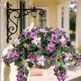 thumbnail image 6 of QAZbgdl Purple Artificial Petunias Hanging Plants | 65" Wall Hanging Flower Vine | Outdoor & Indoor Fake Flowers Decor for Patio, Wedding, Home, 6 of 8