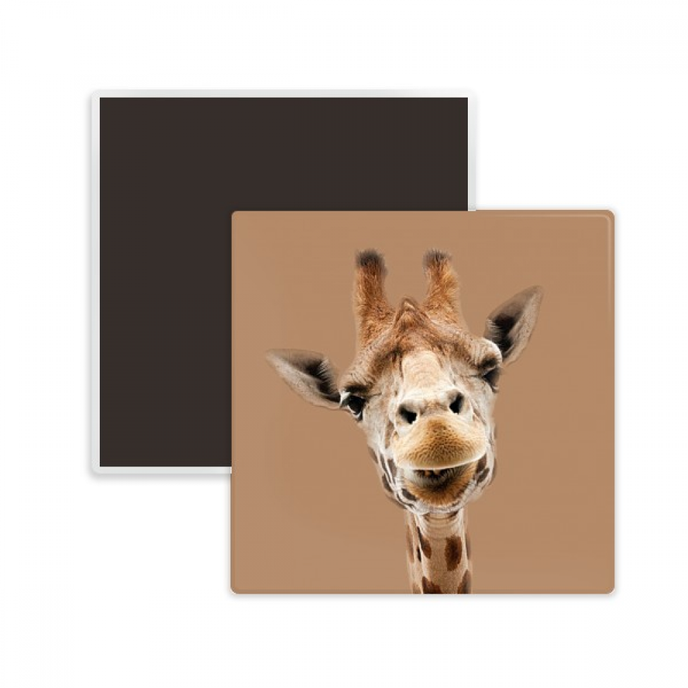 Giraffe Camera Observation Action Square Ceracs Fridge Keepsake