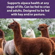 Mazuri Alpaca Care: Crumble