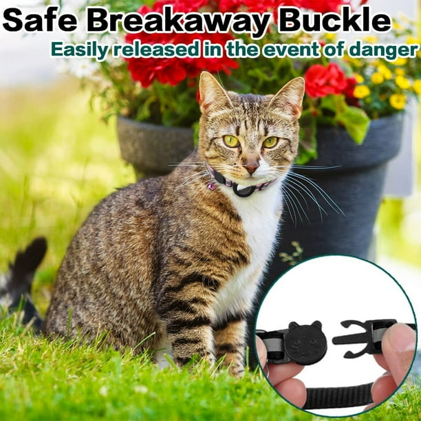 Walmart kitten collar 2025