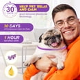 thumbnail image 2 of Oimmal Calming Collar for Dogs,Dog Anxiety Relief with Pheromones,Up to 25.6inch,Water Resistant,6 Pack 180 Days Supply, 2 of 11