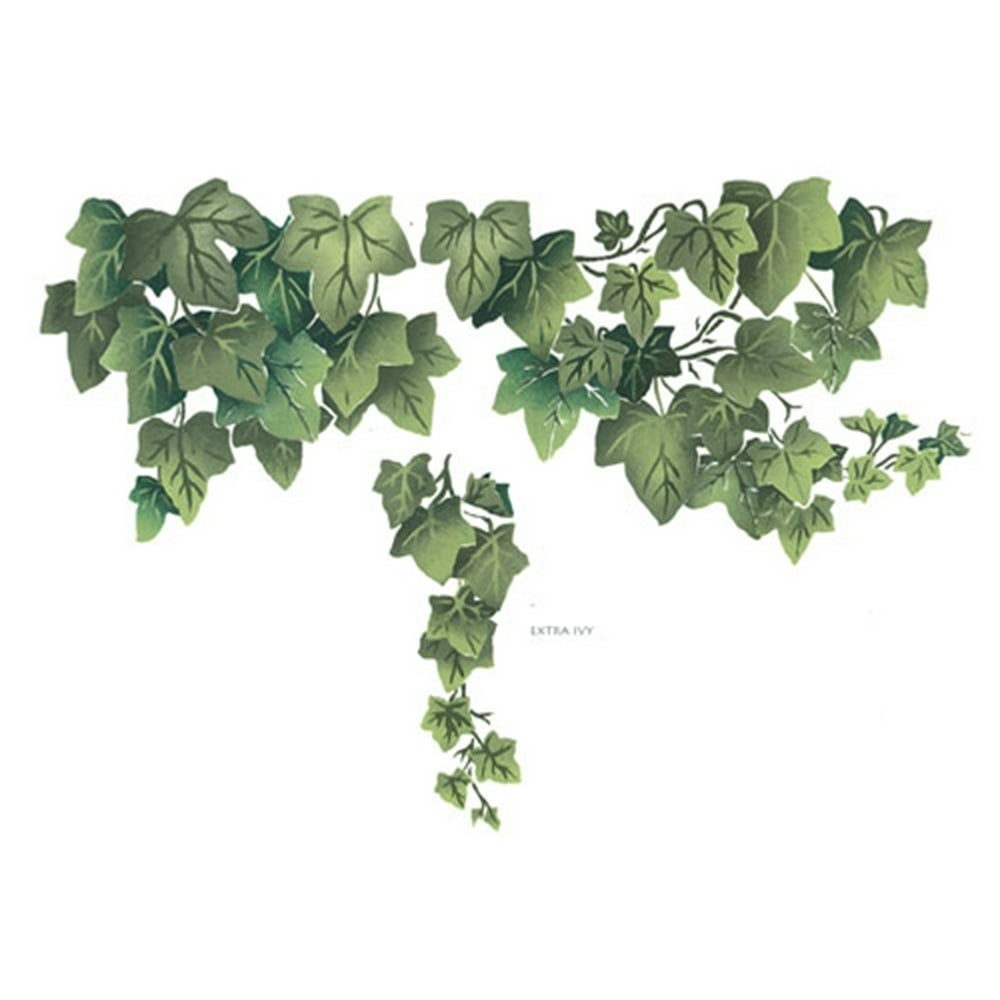 Wall Ivy Wall Stencil DEE602 by DeeSigns