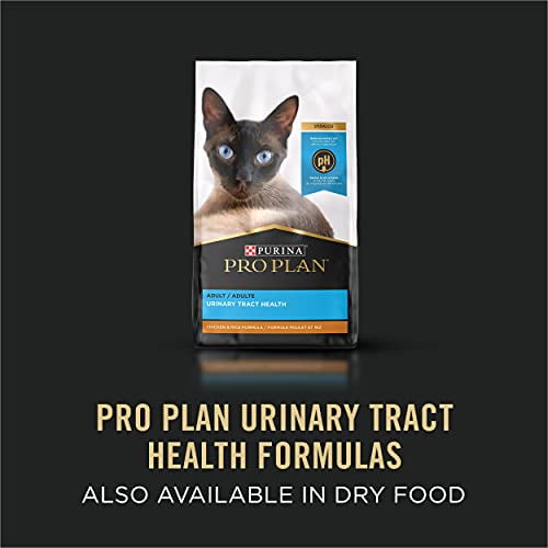 Best canned cat food for urinary health online
