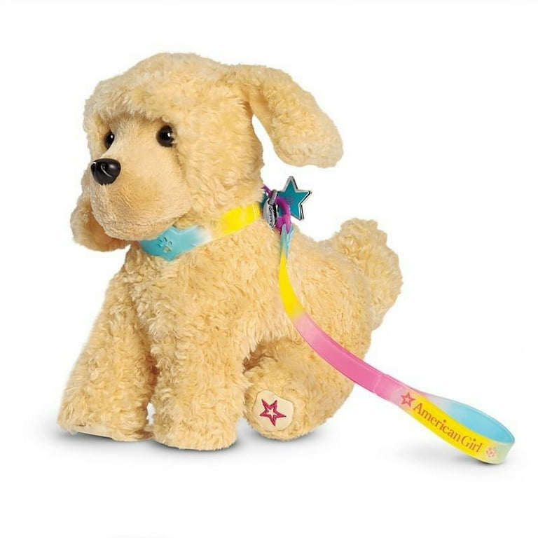 dog toy box for small dogs Boredom-Busting Toy Box!