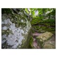 thumbnail image 2 of Grandes Roches dans la Forêt de Mousse Profonde - Impression sur Toile de Paysage, 2 of 3