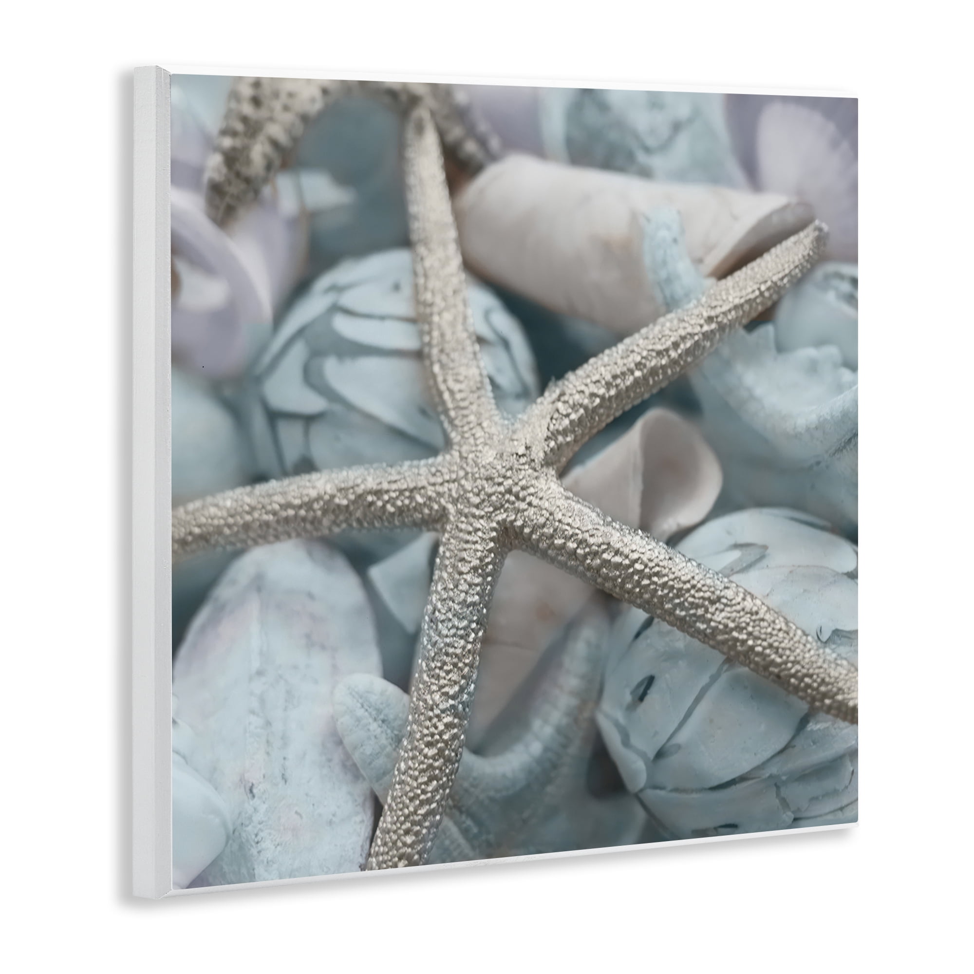 Stupell Industries Starfish & Various Shells Nautical & Beach Photography Unframed Art Print Wall Art, 12 x 12