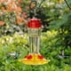 thumbnail image 1 of Comedero para colibríes Shrdaepe, botella de vidrio, 300 ml, 5 puertos, 1 of 7