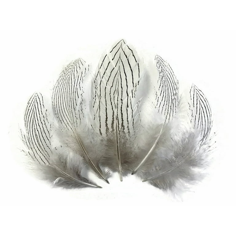 Black with Metallic Silver Tips Ringneck Pheasant Feather Bleached and Dyed  22 inches and up by the Piece – Schuman Feathers