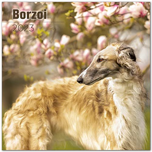 2022 2023 Borzoi Calendar - Dog Breed Monthly Wall Calendar - 12 x 24 2022 2023 Borzoi Calendar - Dog Breed Monthly Wall Calendar - 12 x 24